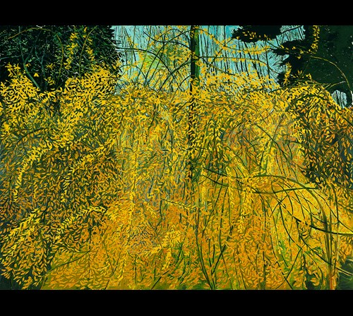 Forsythia II